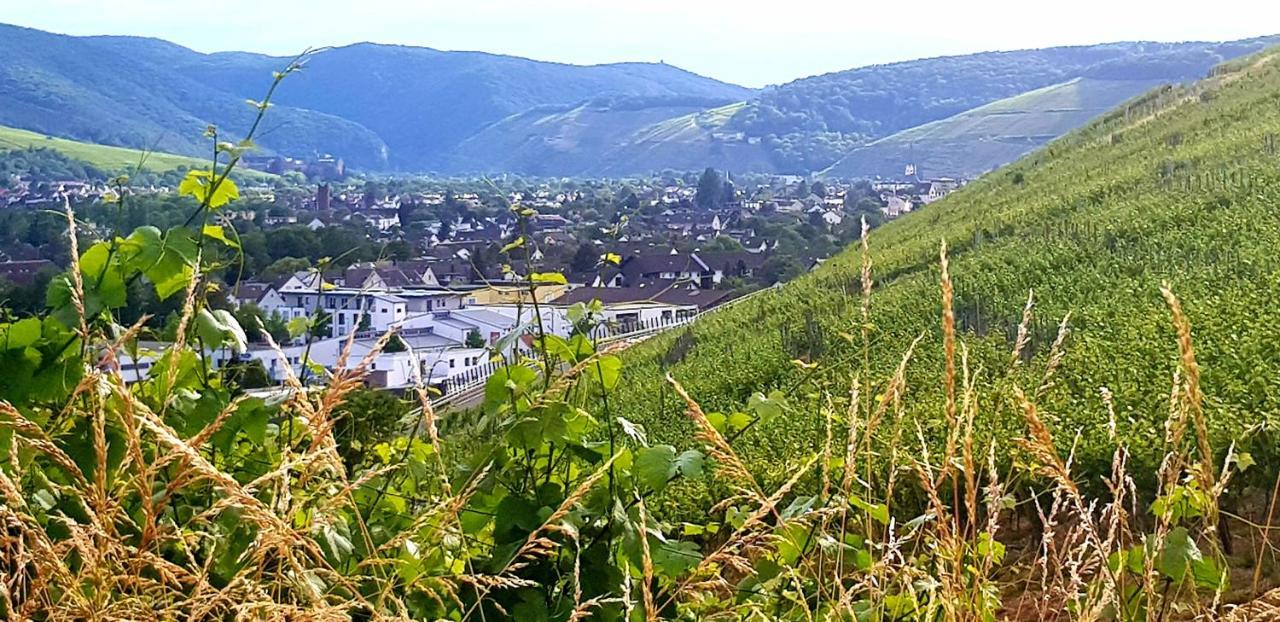 Ahrweiler Seelchen 바트노이에나르아르바일러 외부 사진