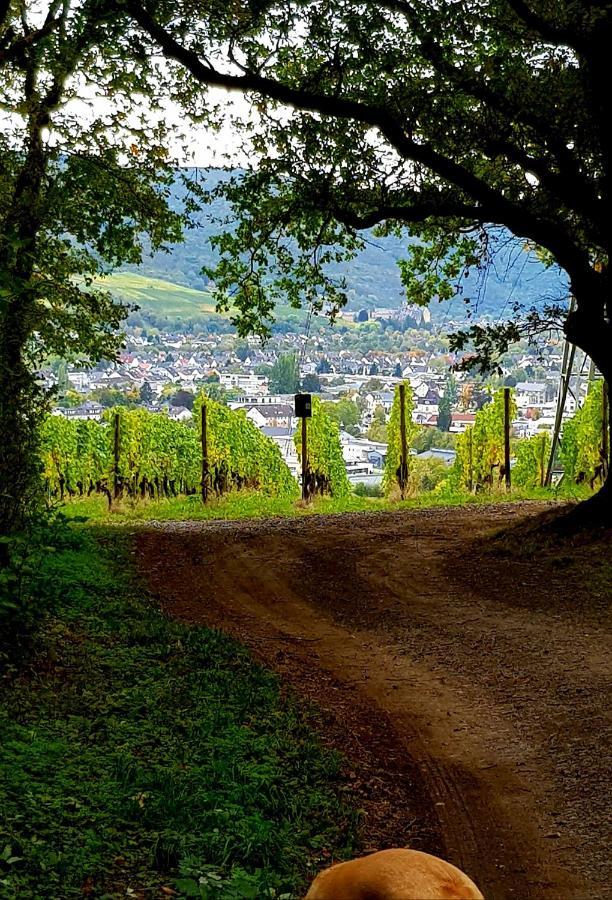 Ahrweiler Seelchen 바트노이에나르아르바일러 외부 사진